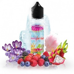 Candyberries - Fresh &...